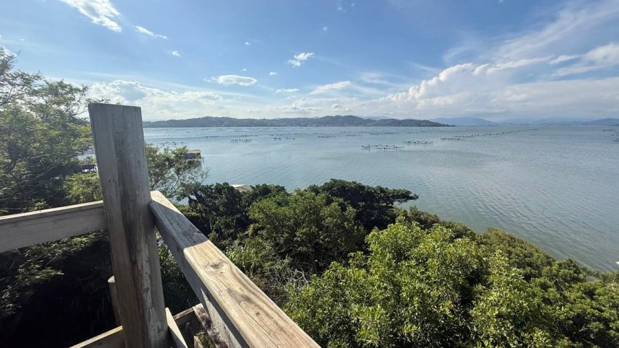 Terreno - Venda - Ponta das Laranjeiras - Laguna - SC